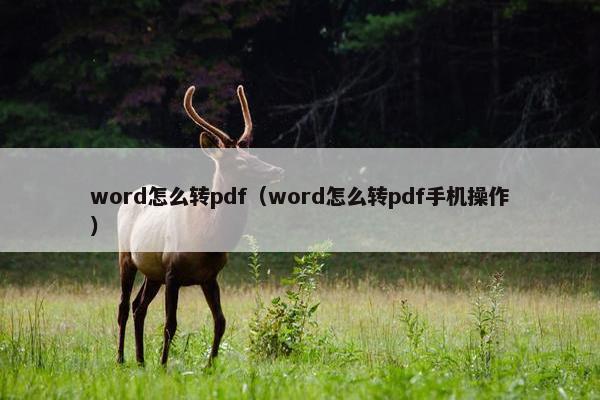 word怎么转pdf（word怎么转pdf手机操作）