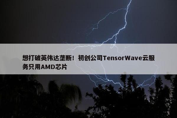 想打破英伟达垄断！初创公司TensorWave云服务只用AMD芯片