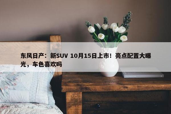 东风日产：新SUV 10月15日上市！亮点配置大曝光，车色喜欢吗