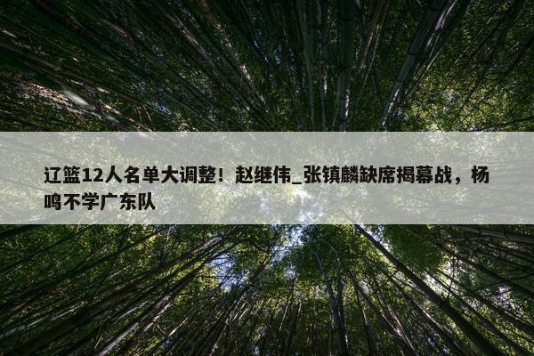 辽篮12人名单大调整！赵继伟_张镇麟缺席揭幕战，杨鸣不学广东队