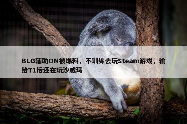 BLG辅助ON被爆料，不训练去玩Steam游戏，输给T1后还在玩沙威玛