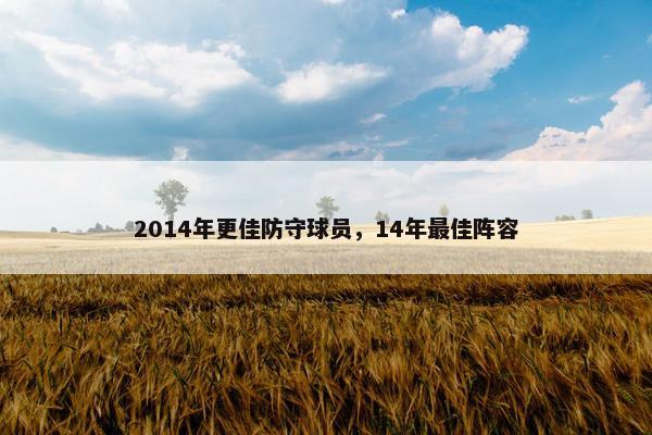 2014年更佳防守球员，14年最佳阵容