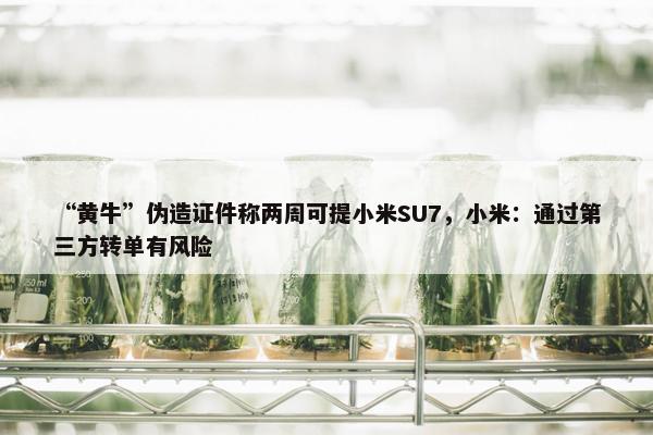 “黄牛”伪造证件称两周可提小米SU7，小米：通过第三方转单有风险