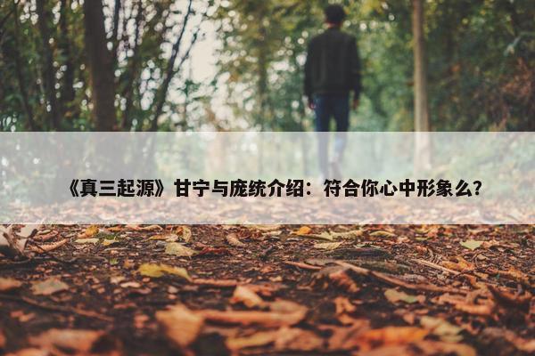 《真三起源》甘宁与庞统介绍：符合你心中形象么？