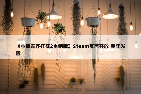 《小朋友齐打交2重制版》Steam页面开放 明年发售