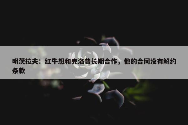 明茨拉夫：红牛想和克洛普长期合作，他的合同没有解约条款