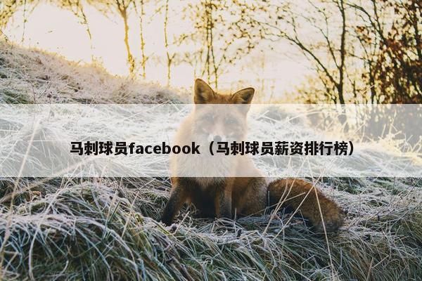 马刺球员facebook（马刺球员薪资排行榜）