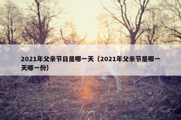 2021年父亲节日是哪一天（2021年父亲节是哪一天哪一份）