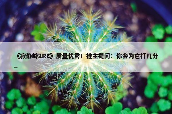 《寂静岭2RE》质量优秀！推主提问：你会为它打几分_