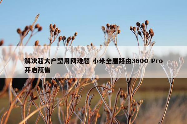 解决超大户型用网难题 小米全屋路由3600 Pro开启预售