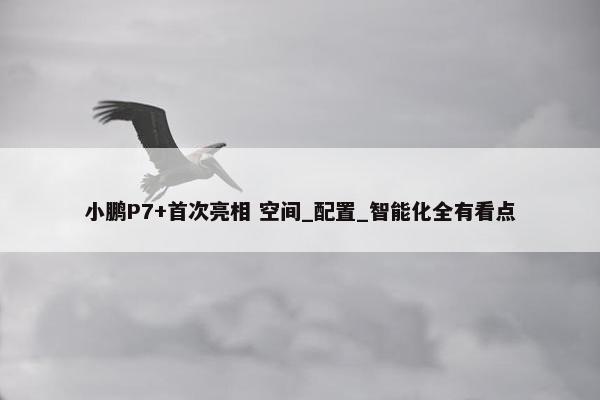 小鹏P7+首次亮相 空间_配置_智能化全有看点