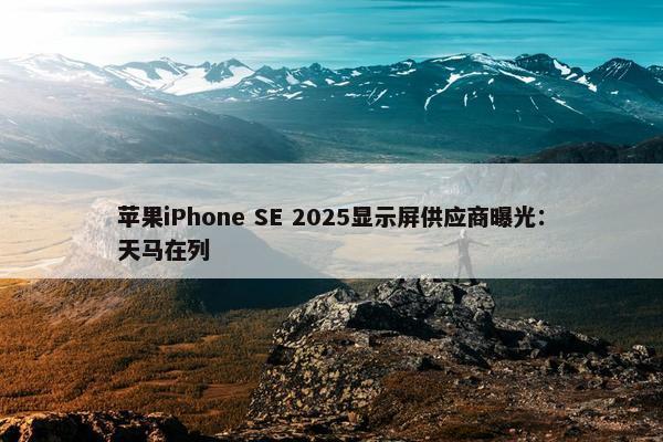 苹果iPhone SE 2025显示屏供应商曝光：天马在列