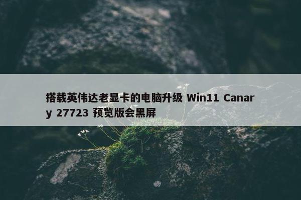 搭载英伟达老显卡的电脑升级 Win11 Canary 27723 预览版会黑屏