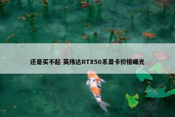 还是买不起 英伟达RTX50系显卡价格曝光