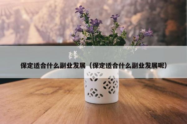 保定适合什么副业发展（保定适合什么副业发展呢）