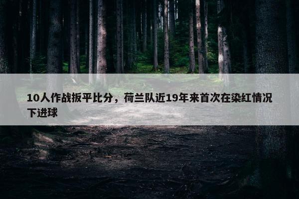 10人作战扳平比分，荷兰队近19年来首次在染红情况下进球