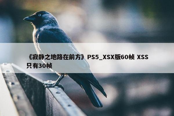 《寂静之地路在前方》PS5_XSX版60帧 XSS只有30帧