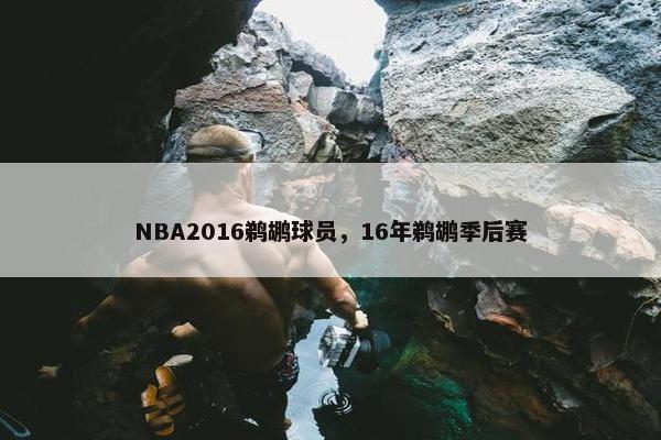 NBA2016鹈鹕球员，16年鹈鹕季后赛