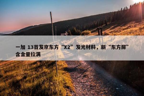 一加 13首发京东方“X2”发光材料，新“东方屏”含金量拉满