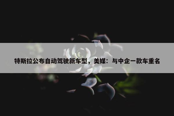 特斯拉公布自动驾驶新车型，美媒：与中企一款车重名