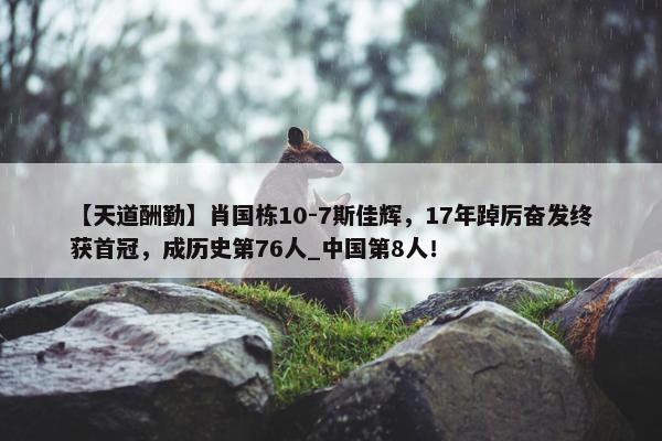 【天道酬勤】肖国栋10-7斯佳辉，17年踔厉奋发终获首冠，成历史第76人_中国第8人！