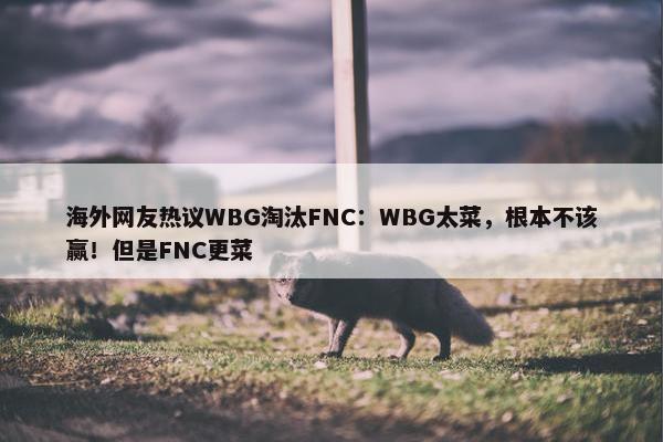 海外网友热议WBG淘汰FNC：WBG太菜，根本不该赢！但是FNC更菜