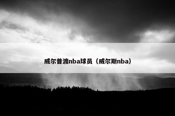 威尔普渡nba球员（威尔斯nba）