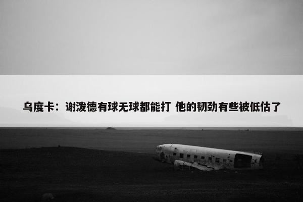 乌度卡：谢泼德有球无球都能打 他的韧劲有些被低估了