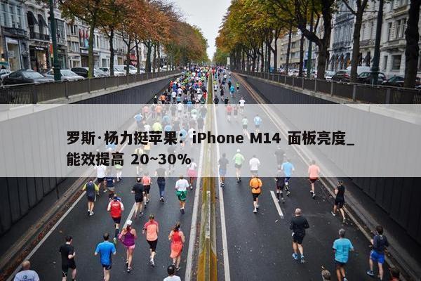 罗斯·杨力挺苹果：iPhone M14 面板亮度_能效提高 20~30%