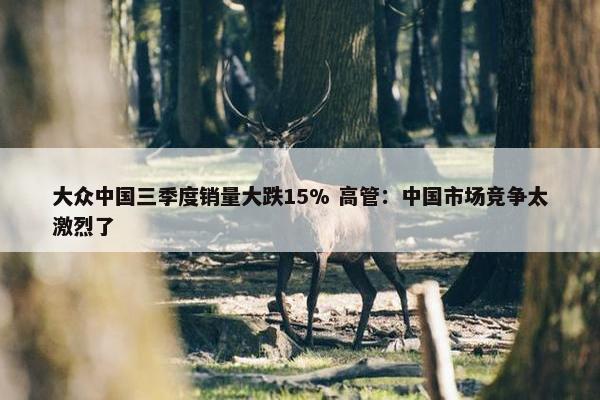 大众中国三季度销量大跌15% 高管：中国市场竞争太激烈了