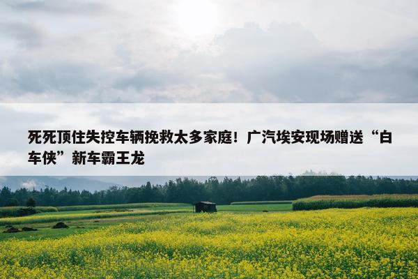 死死顶住失控车辆挽救太多家庭！广汽埃安现场赠送“白车侠”新车霸王龙