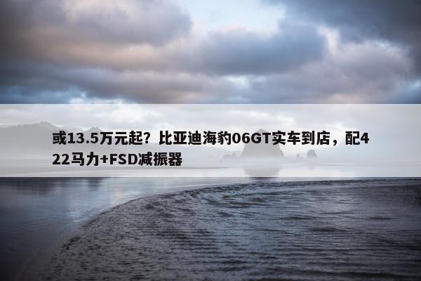 或13.5万元起？比亚迪海豹06GT实车到店，配422马力+FSD减振器