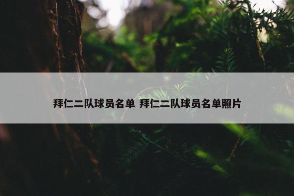 拜仁二队球员名单 拜仁二队球员名单照片