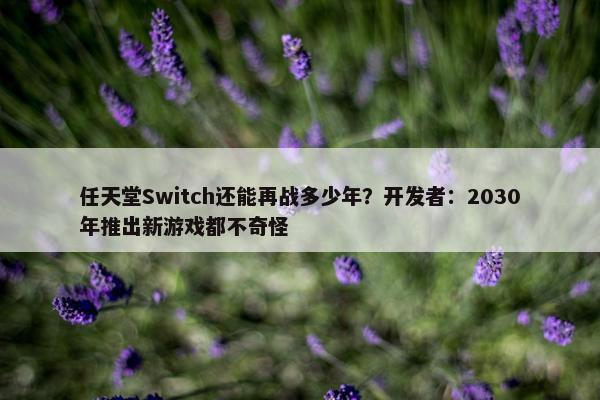 任天堂Switch还能再战多少年？开发者：2030年推出新游戏都不奇怪