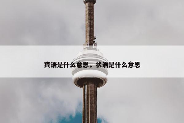 宾语是什么意思，状语是什么意思