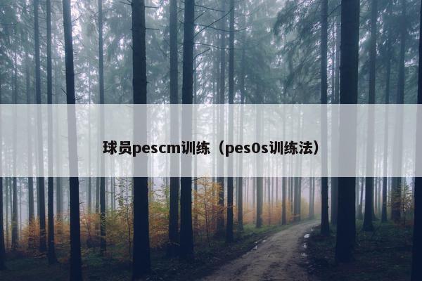 球员pescm训练（pes0s训练法）