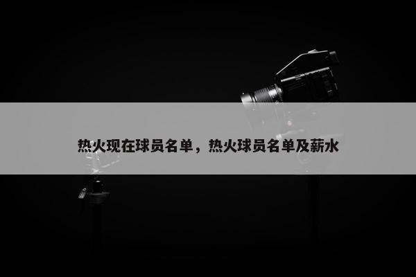 热火现在球员名单，热火球员名单及薪水