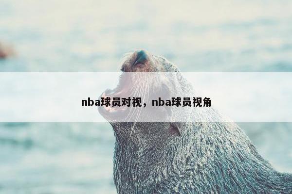 nba球员对视，nba球员视角