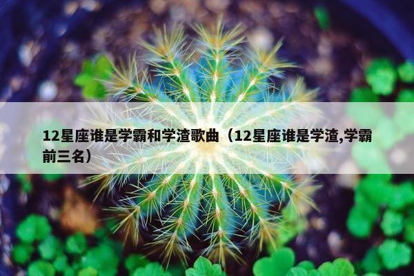 12星座谁是学霸和学渣歌曲（12星座谁是学渣,学霸前三名）