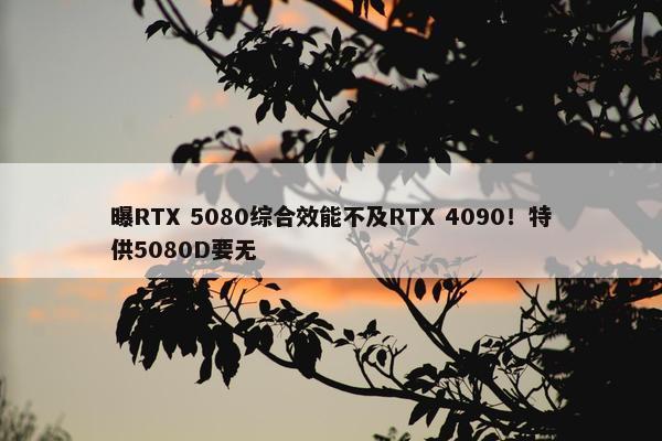 曝RTX 5080综合效能不及RTX 4090！特供5080D要无