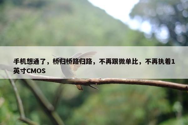 手机想通了，桥归桥路归路，不再跟微单比，不再执着1英寸CMOS