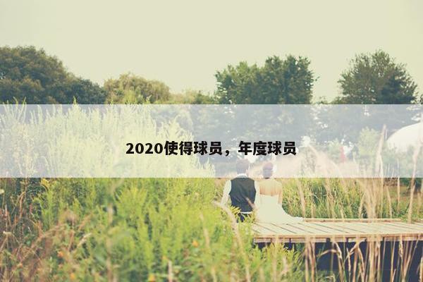 2020使得球员，年度球员