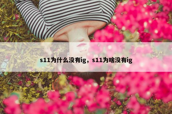 s11为什么没有ig，s11为啥没有ig