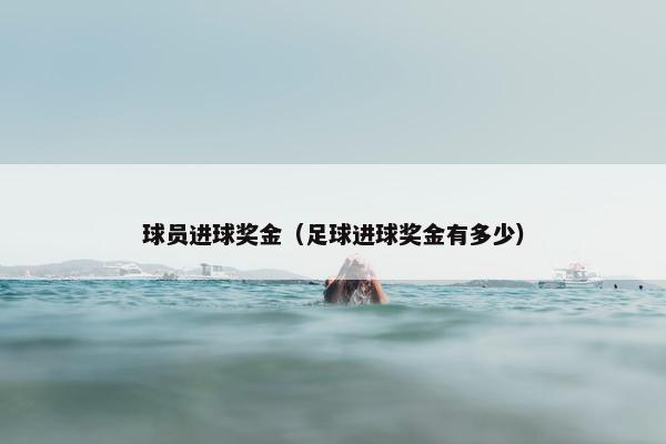 球员进球奖金（足球进球奖金有多少）