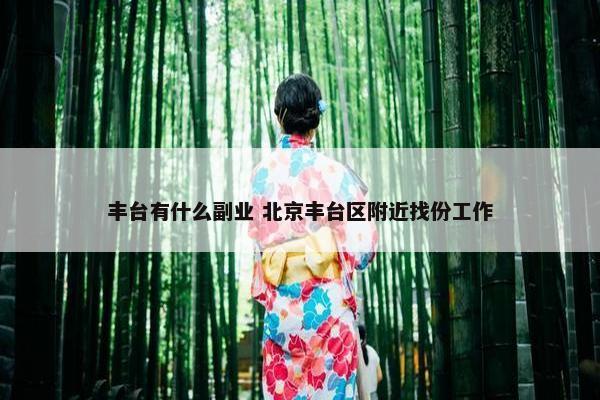 丰台有什么副业 北京丰台区附近找份工作