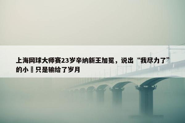 上海网球大师赛23岁辛纳新王加冕，说出“我尽力了”的小徳只是输给了岁月