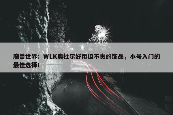 魔兽世界：WLK奥杜尔好用但不贵的饰品，小号入门的最佳选择！