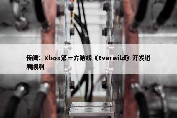 传闻：Xbox第一方游戏《Everwild》开发进展顺利