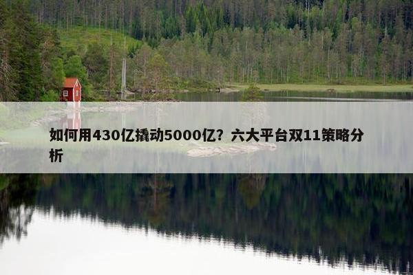 如何用430亿撬动5000亿？六大平台双11策略分析