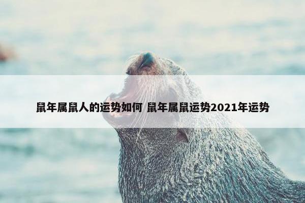 鼠年属鼠人的运势如何 鼠年属鼠运势2021年运势